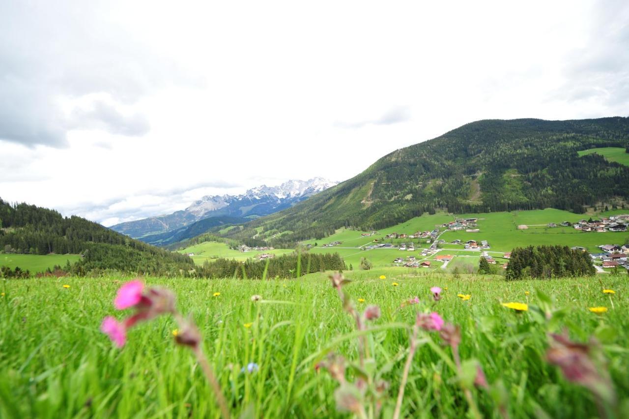 Buttermilchalm Bed & Breakfast Sankt Martin am Tennengebirge Dış mekan fotoğraf